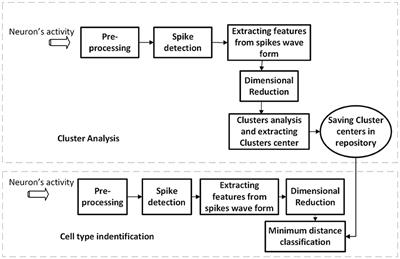 Electrophysiological Profiling of Neocortical Neural Subtypes: A Semi-Supervised Method Applied to in vivo Whole-Cell Patch-Clamp Data